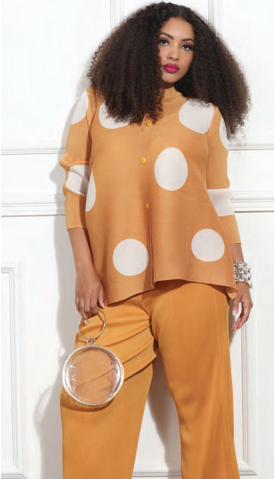 Accordian Pleated Pant Set